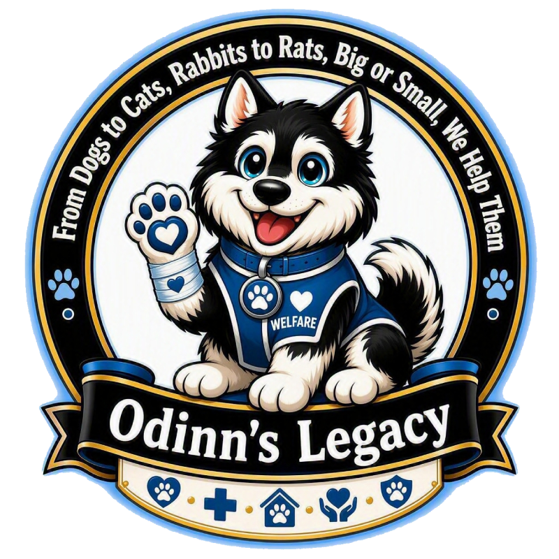 Odinn's Legacy Welfare Support